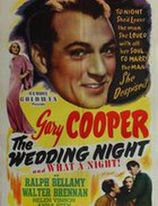 Брачная ночь