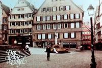 Кадр Зеленая птица