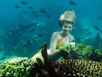 Кадр H2O: Просто добавь воды