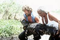 Кадр Вторжение в США