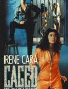 Заключенные на острове Рай