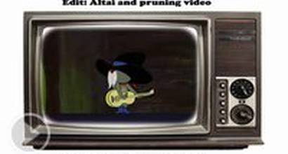 Мультфильм 