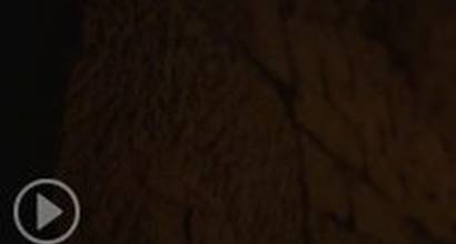 Ролик о фильме 