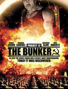 Проект 12: Бункер