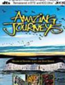 Amazing Journeys