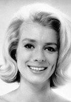 Ингер Стивенс