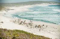 Кадр Черные паруса