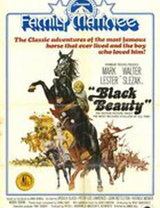 Черный красавчик