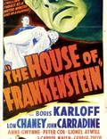 Постер из фильма "Дом Франкенштейна" - 1
