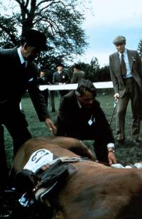 Кадр Все создания, большие и малые