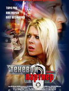 Теневой партнер