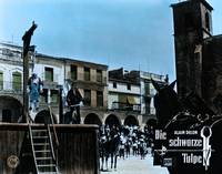 Кадр Черный тюльпан