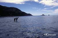 Кадр Планета Земля