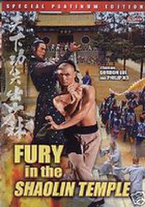 Shao Lin zhen ying xiong