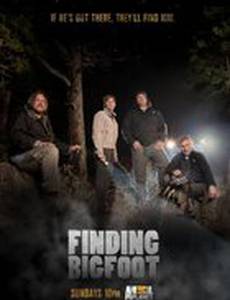 В поисках йети