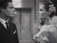 Кадр Собачья жизнь