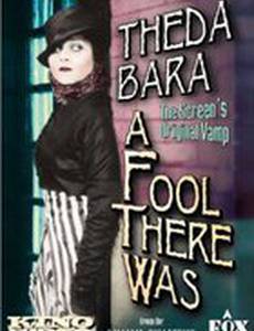 Жил-был дурак