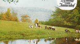 Кадр из фильма "Близнецы из Имменхофа" - 1