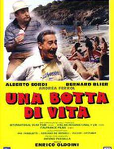 На всю катушку