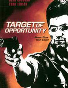 Одиночная цель