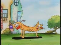 Кадр Котопес