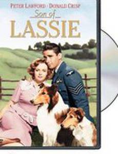 Son of Lassie