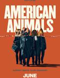 Постер из фильма "Американские животные" - 1