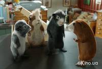 Кадр Миссия Дарвина