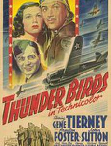 Гром птиц [Солдаты воздуха]