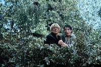 Кадр Три беглеца