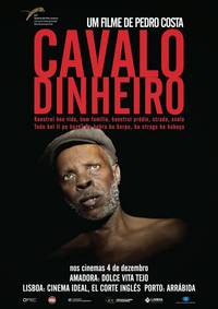 Постер Лошадь Деньги