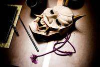 Кадр Суши Гёл