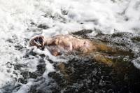 Кадр Ганнибал