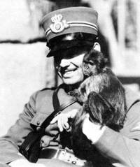 Кадр Белая монахиня