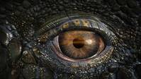 Кадр Морские динозавры 3D: Путешествие в доисторический мир