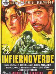 Текут мутные воды