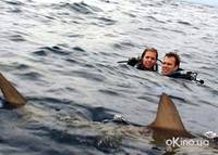 Кадр Открытое море