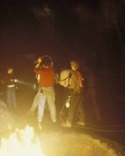 Бен Торнтон фото