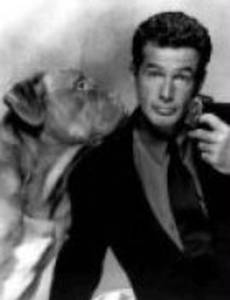 Собачье дело