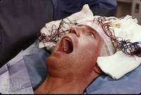 Кадр Обезьяна-убийца