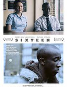 Шестнадцать
