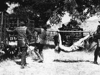 Кадр Планета обезьян