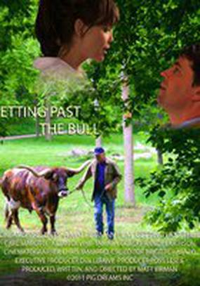 Getting Past the Bull