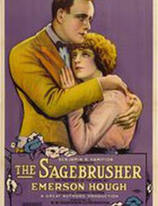 The Sagebrusher