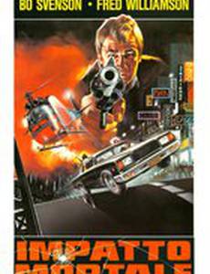 Смертельное столкновение