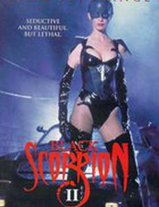 Черный скорпион 2: В эпицентре взрыва