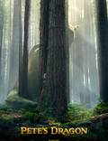 Постер из фильма "Пит и его дракон" - 1
