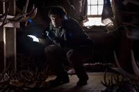 Кадр Ганнибал