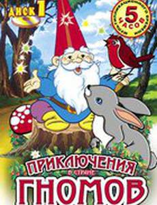 Приключения в стране Гномов