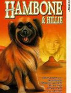 Гэмбон и Хилли